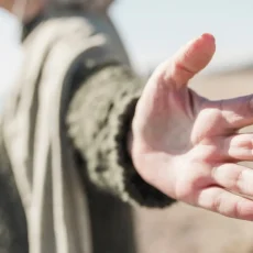 Vivir en plenitud: el equilibrio entre cuerpo, mente y propósito